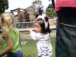 t_NEC_0221.jpg