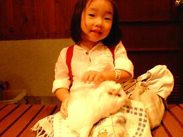 t_NEC_0226.jpg