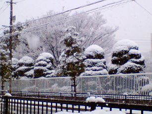 t_NEC_0383.jpg